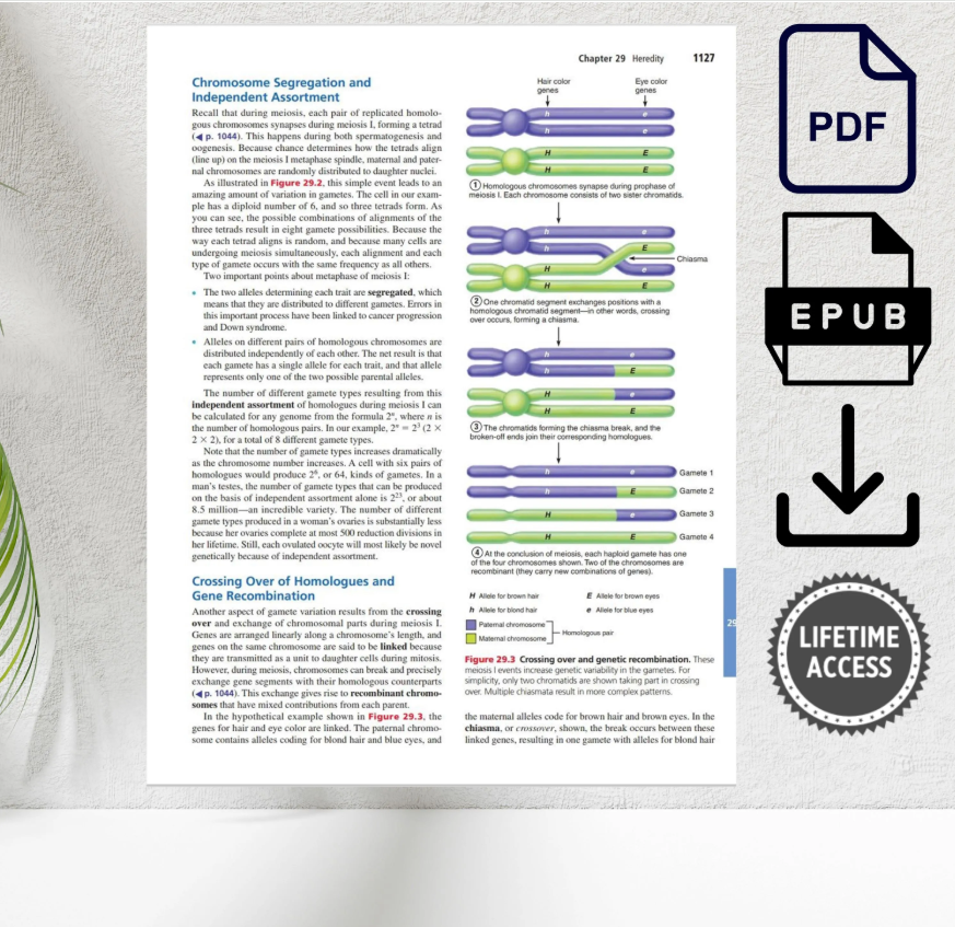 Human Anatomy & Physiology 11th Edition