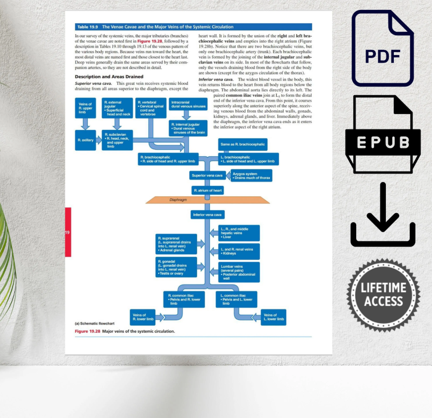 Human Anatomy & Physiology 11th Edition