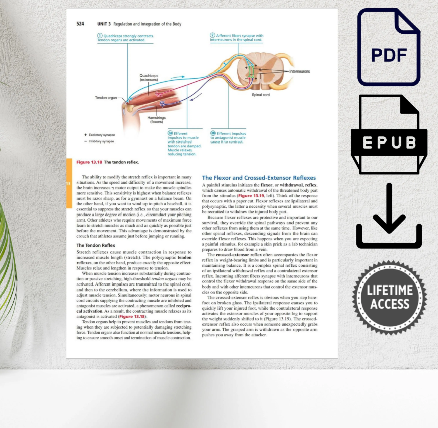Human Anatomy & Physiology 11th Edition