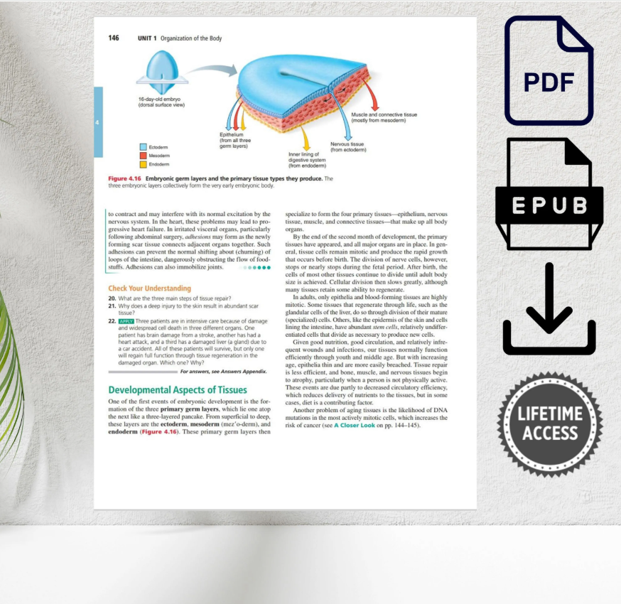 Human Anatomy & Physiology 11th Edition