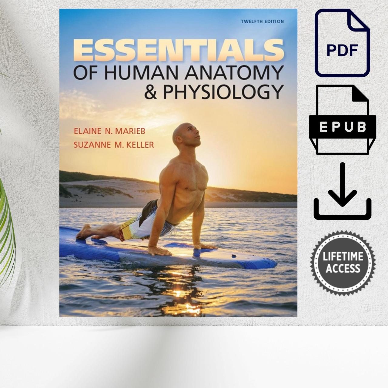 Essentials of Human Anatomy and Physiology 12th Edition textbook cover