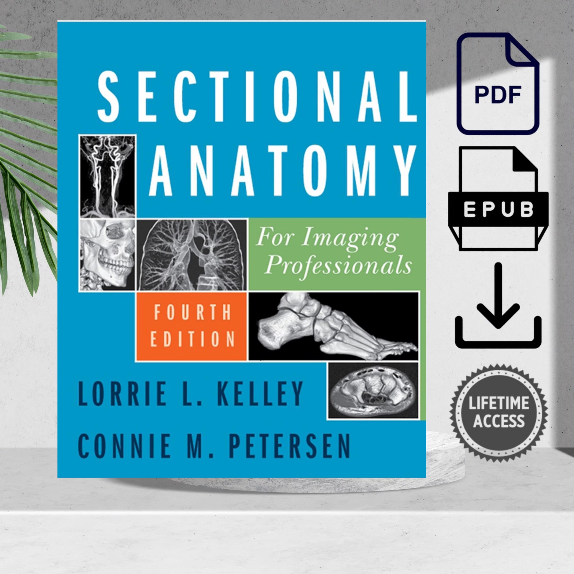 Sectional Anatomy for Imaging Professionals 4th Edition textbook cover