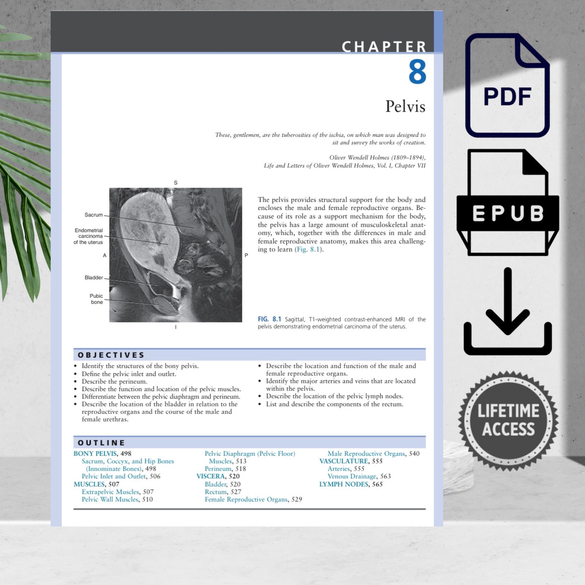 Comprehensive anatomy reference featuring CT and MRI images