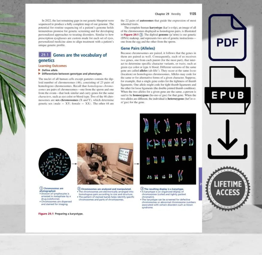 A&P study guide for mastering terminology and healthcare concepts