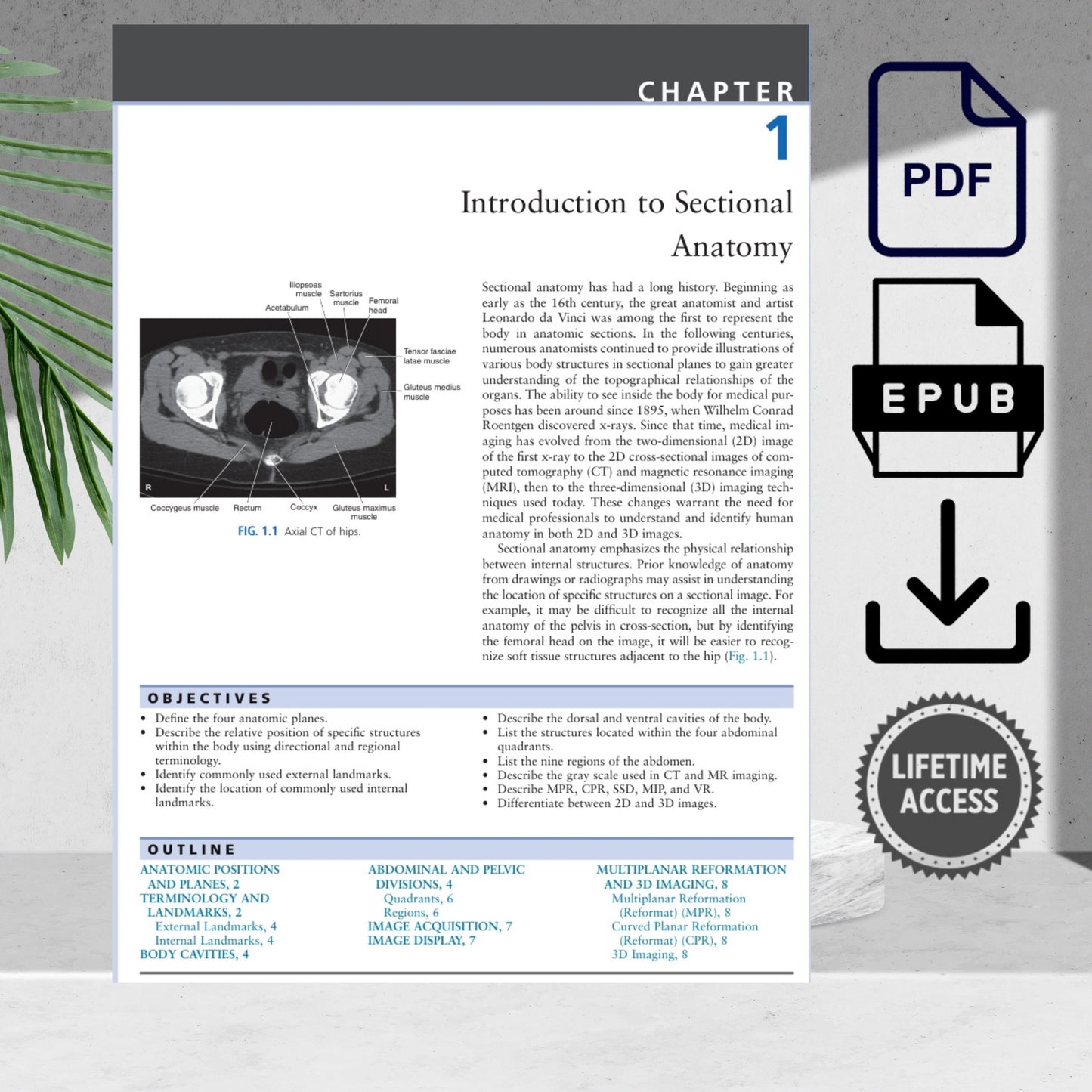 Radiologic anatomy textbook with detailed CT and MRI scans
