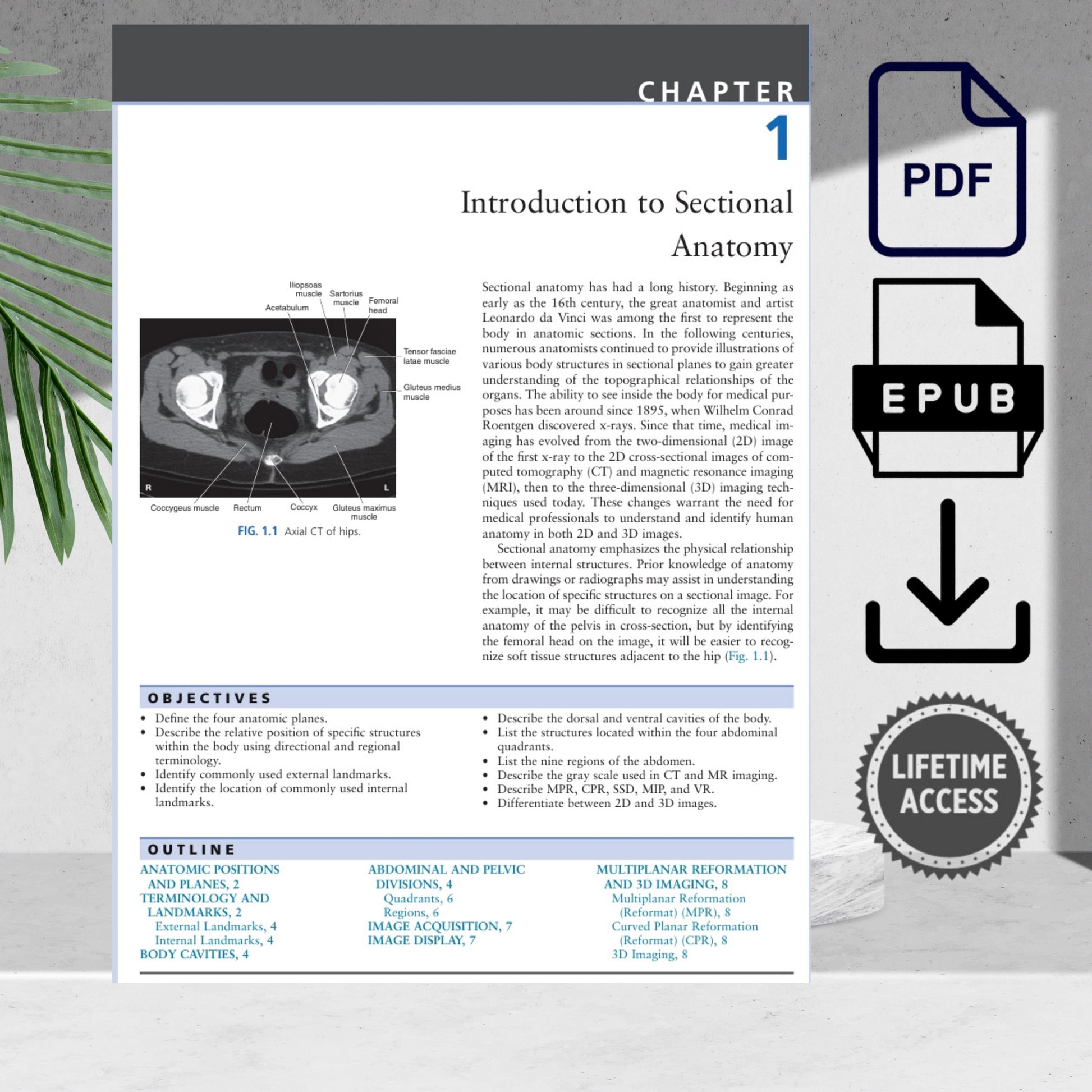 Radiologic anatomy textbook with detailed CT and MRI scans