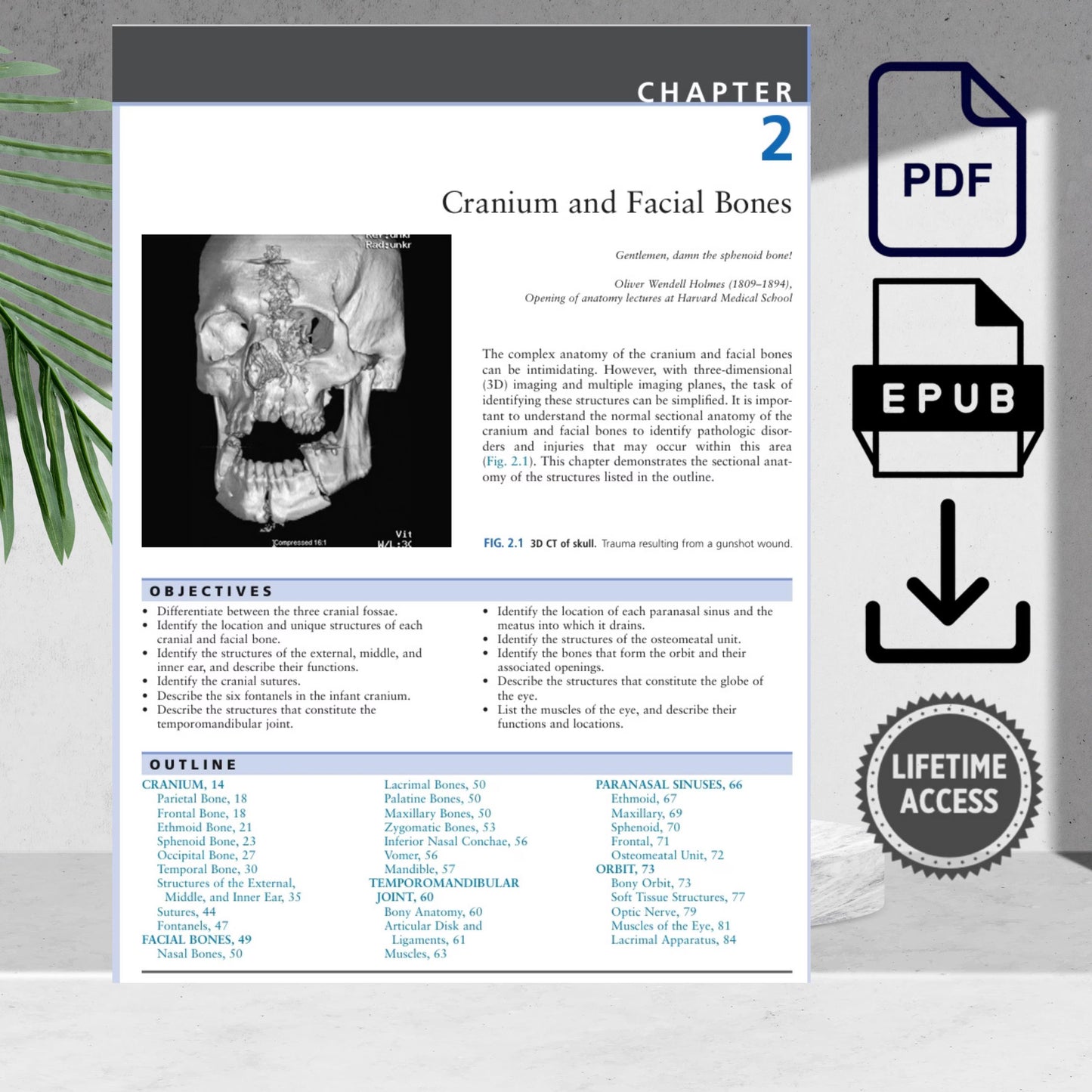 Cross-sectional anatomy guide for medical imaging students