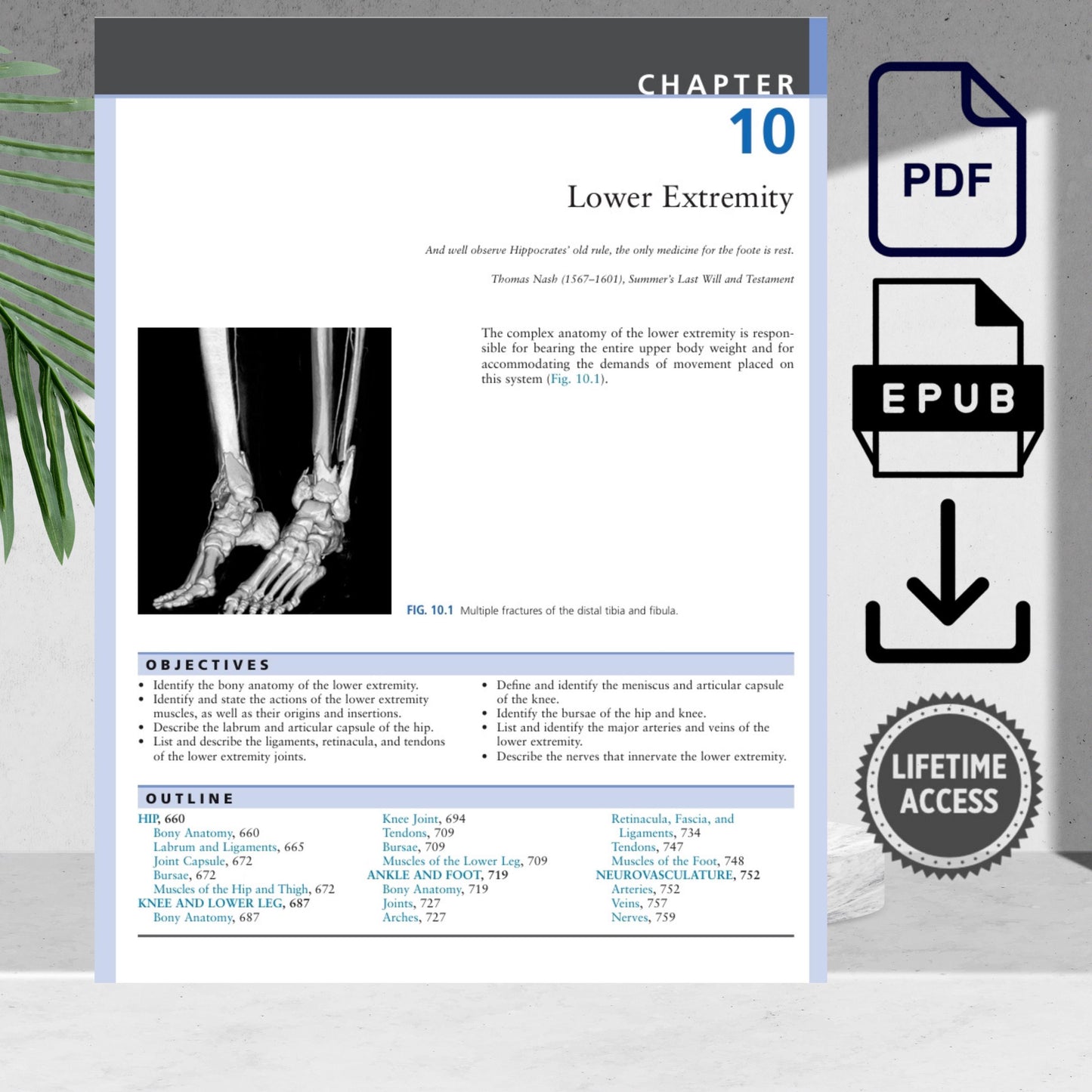 Radiography and imaging anatomy textbook aligned with ARRT and ASRT standards