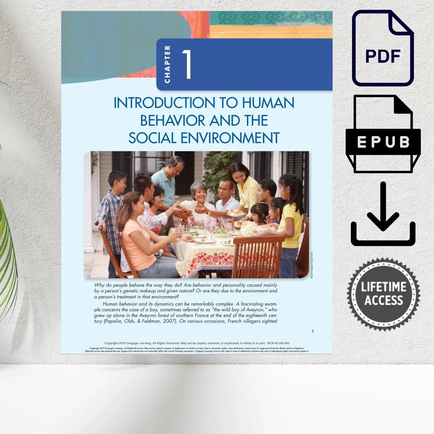 Human behavior and social environment book for social work education