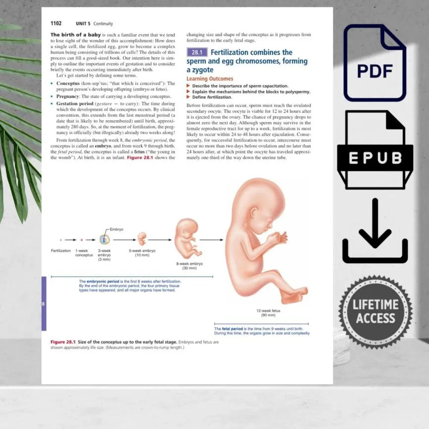Clinical anatomy and physiology educational textbook with updated visuals
